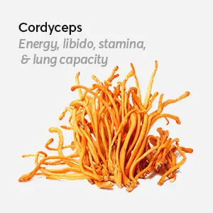 Cordyceps-Ingredients-in-Energy-Stack-Psilocybin-Mushroom-Microdose-Supplement