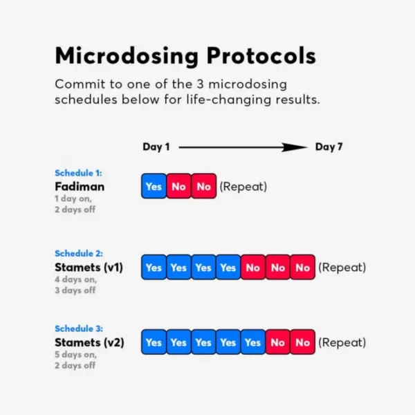 Brain Stack | Microdose Capsules - Image 6