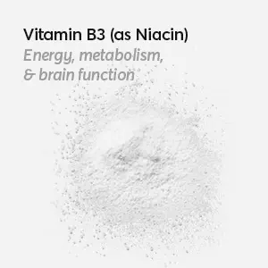 Vitamin-B3-Ingredients-in-My-Supply-Co.-Psilocybin-Mushroom-Microdose-Supplement